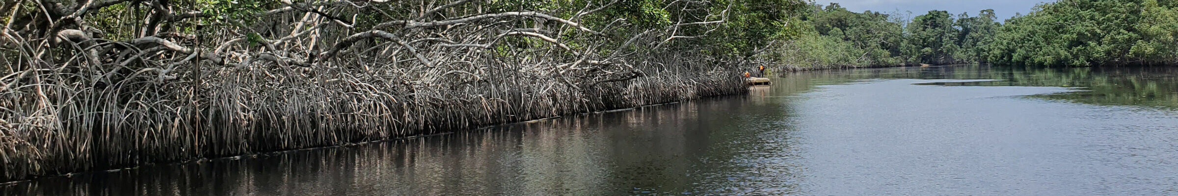 Parc national de Conkouati-Douli – Help Congo – Association Beauval Nature