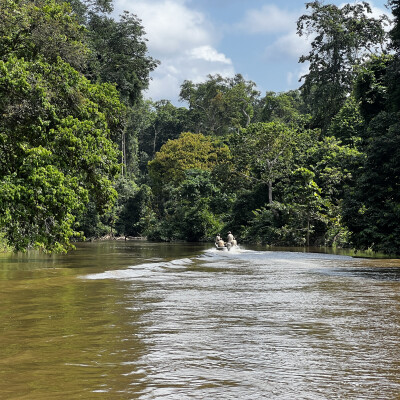 Nourrisage – HELP Congo – Association Beauval Nature