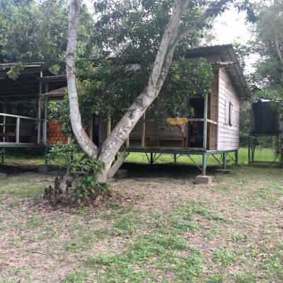 Hébergement - HELP Congo – Association Beauval Nature