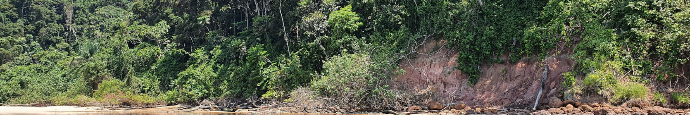 Flore sauvage – HELP Congo – Association Beauval Nature
