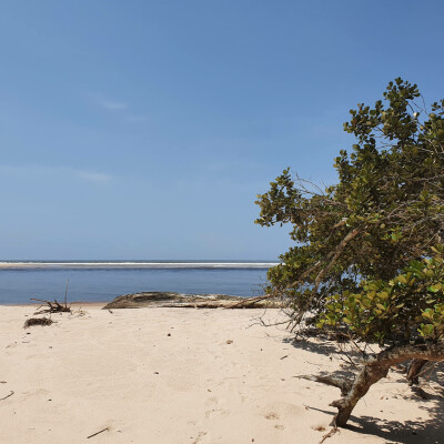 Plage – HELP Congo – Association Beauval Nature
